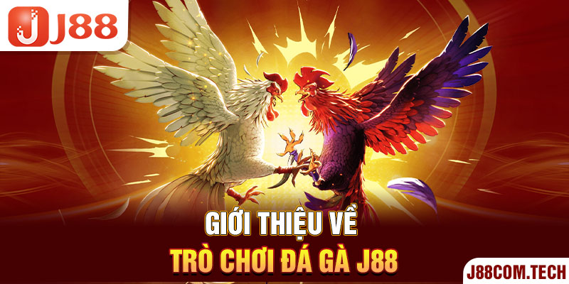 Giới thiệu về trò chơi đá gà J88