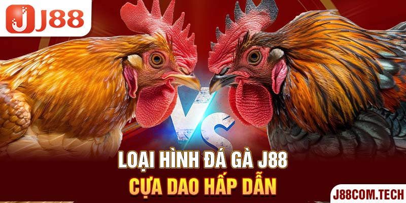 Loại hình đá gà J88 cựa dao hấp dẫn