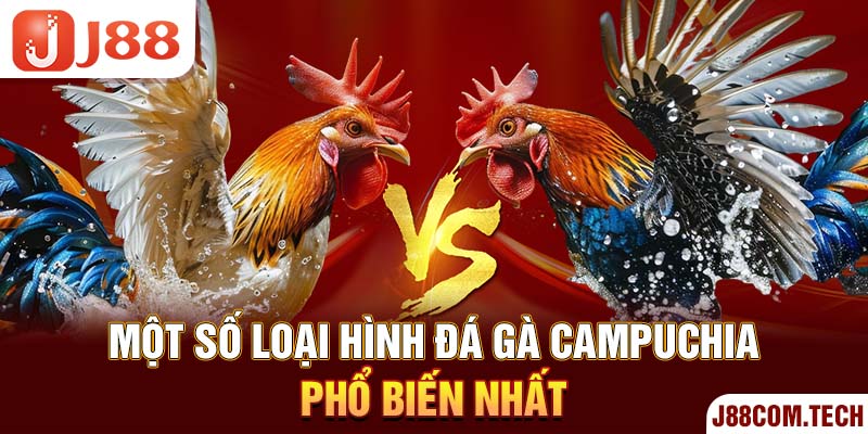 Một số loại hình đá gà Campuchia phổ biến nhất