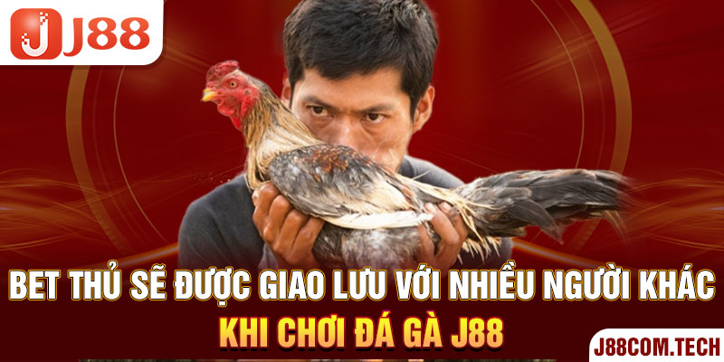 Bet thủ sẽ được giao lưu với nhiều người khác khi chơi đá gà J88