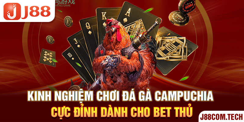 Kinh nghiệm chơi đá gà Campuchia cực đỉnh dành cho bet thủ