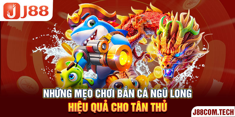 Những mẹo chơi bắn cá ngũ long hiệu quả cho tân thủ