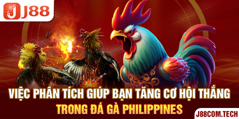 Việc phân tích giúp bạn tăng cơ hội thắng trong đá gà Philippines